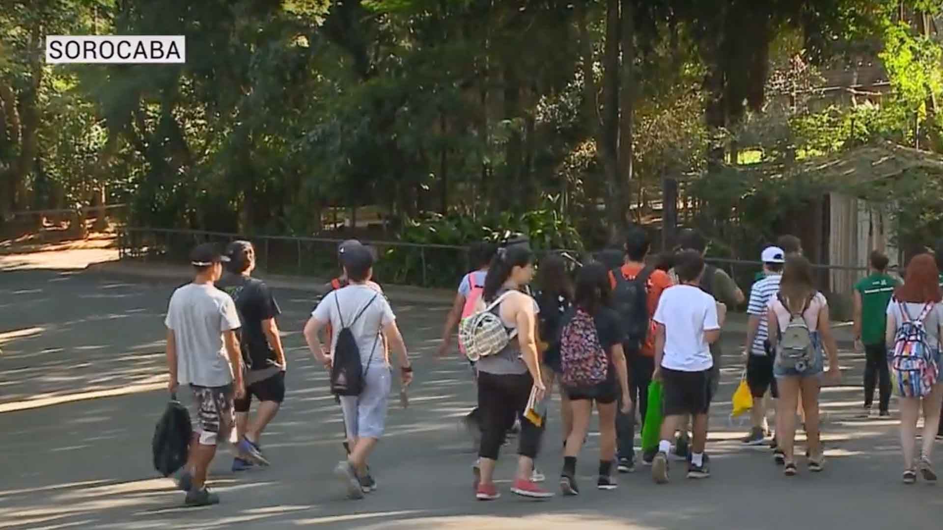 Curso de férias “Animazoo Adolescente” no Zoológico de Sorocaba