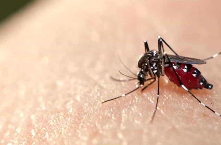 Prefeitura de Sorocaba decreta epidemia de dengue na cidade