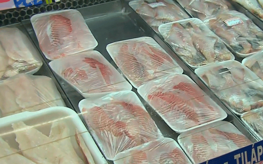 Vendas de peixes devem aumentar em 30% durante a quaresma