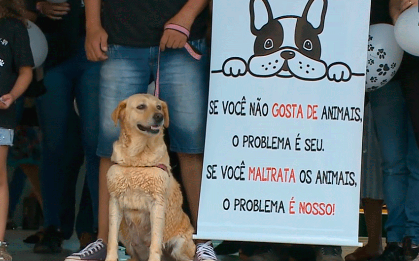 Passeata contra ataques a animais em Tatuí e Boituva