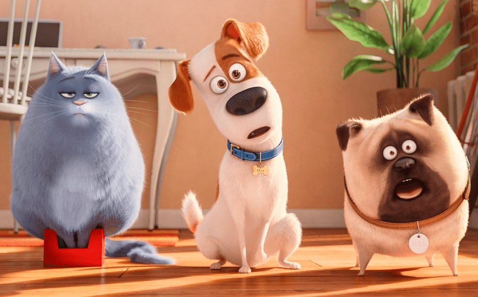 Hoje, no SBT, tem Tela de sucessos com o filme: Pets - A Vida Secreta dos Bichos.