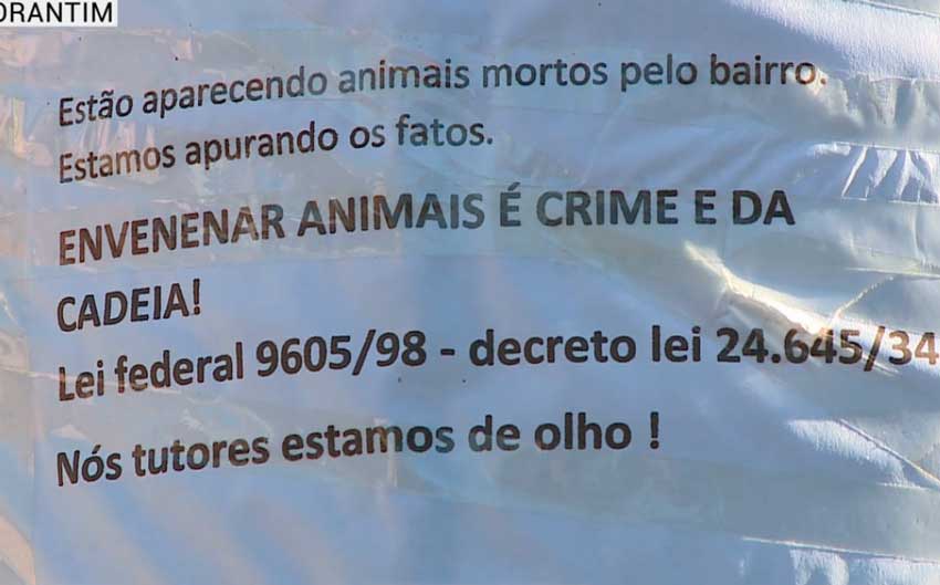 Suspeita de envenenamento de animais em  Votorantim