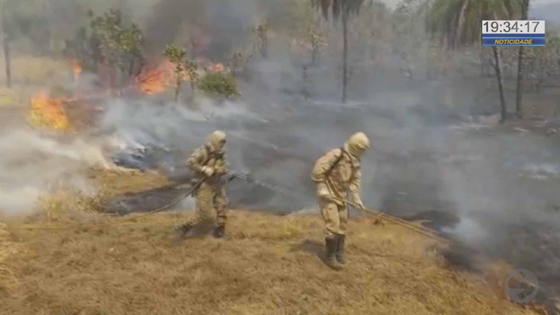 Campanha arrecada doações para ajudar o Pantanal