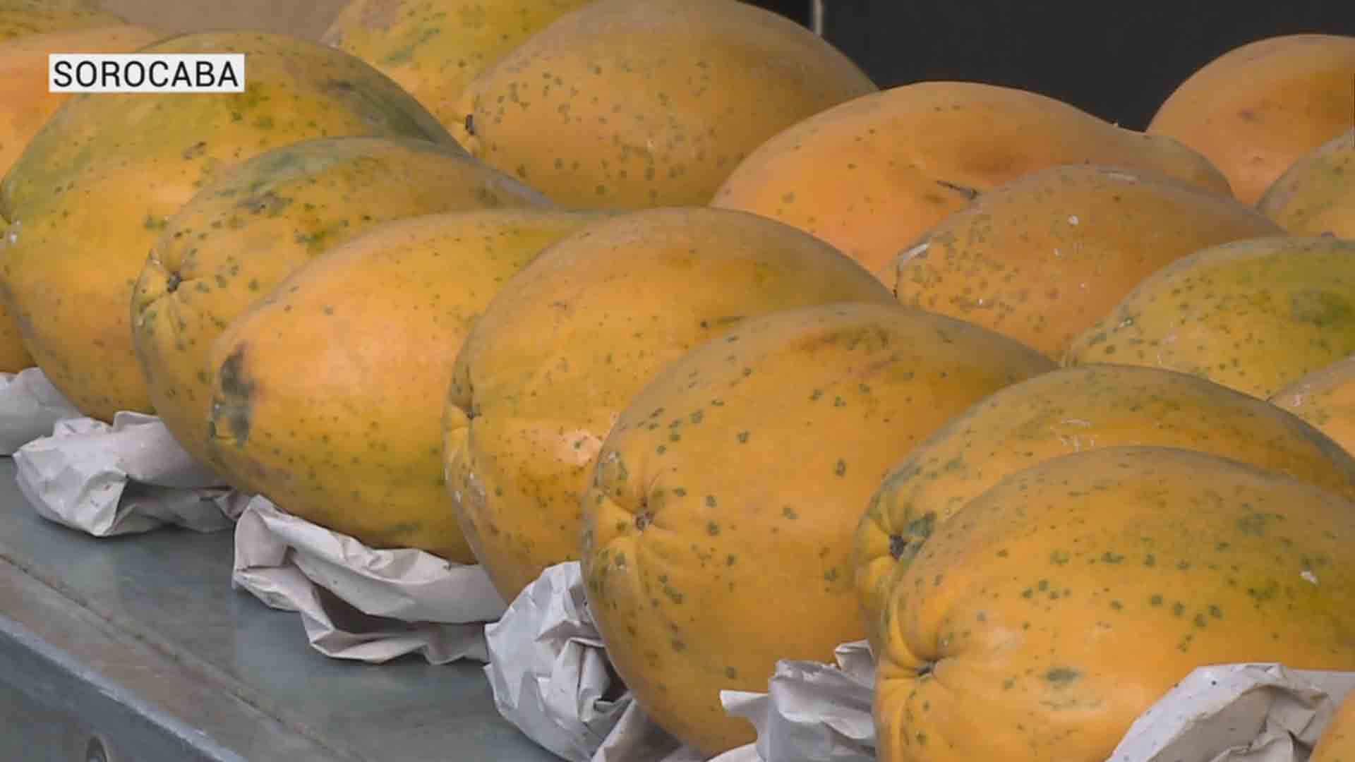Variação de preços dos produtos da cesta básica