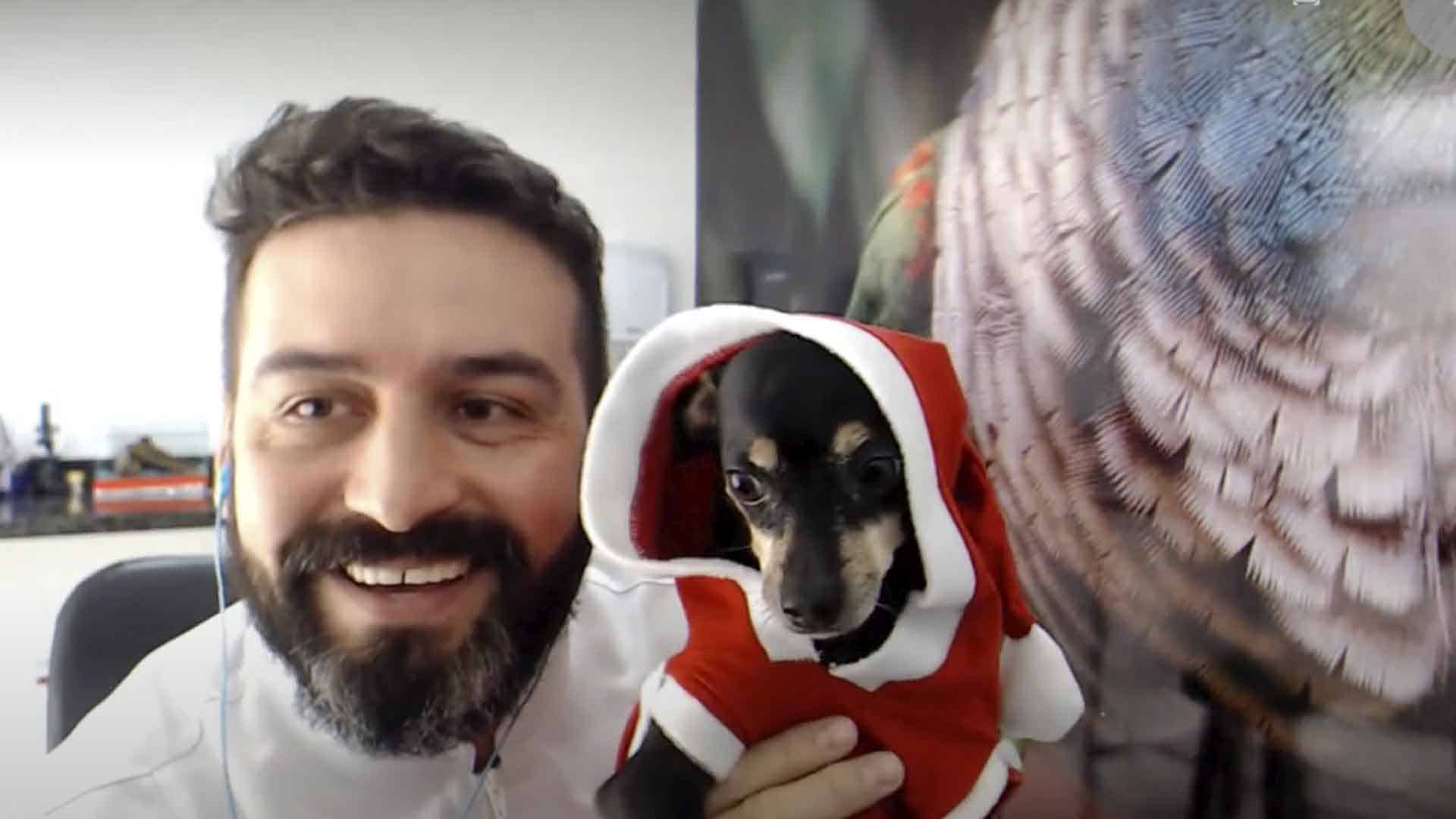 veterinario e cachorro natalino