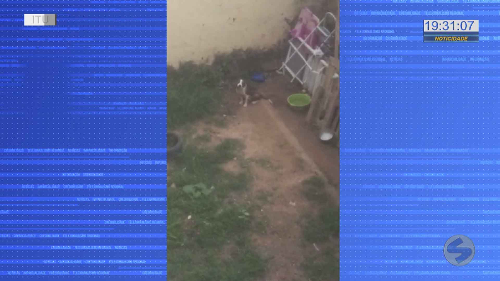 Homem é preso por maus-tratos a cachorro em Itu