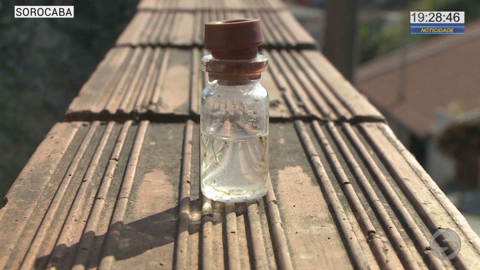Sorocaba corre o risco de epidemia de dengue