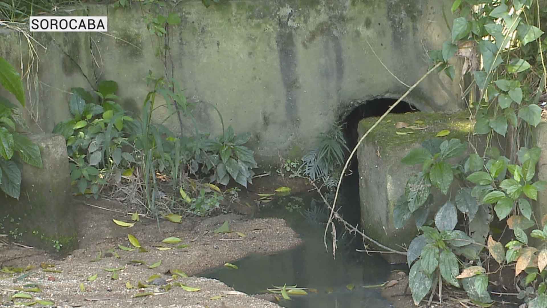 Moradores de Sorocaba reclamam de esgoto