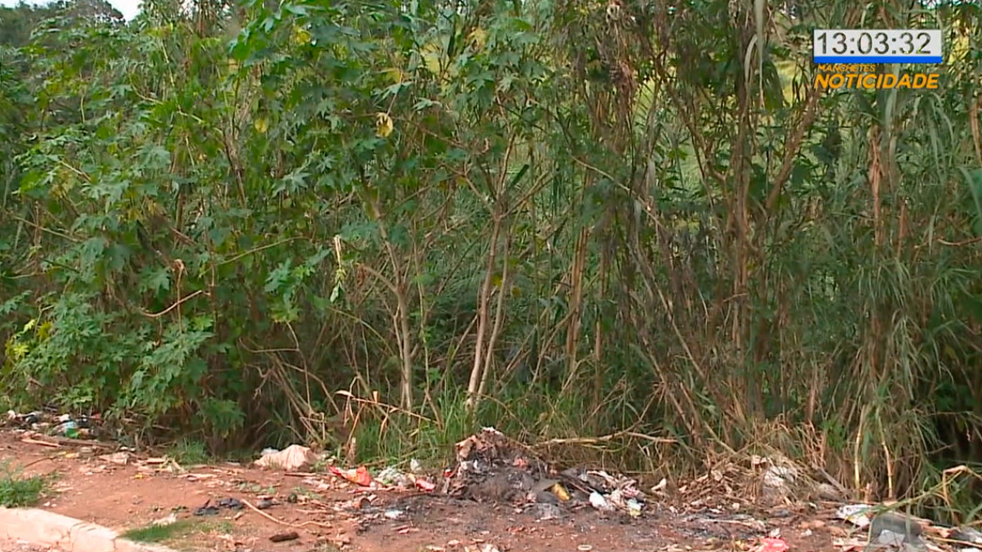 Moradores de Piedade reclamam de infestação e ratos