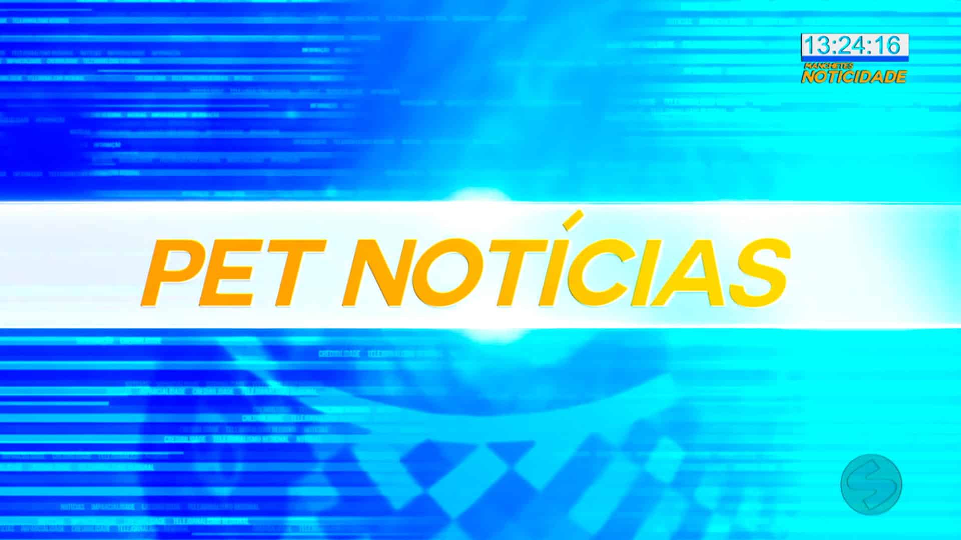 Veterinário fala sobre alergias em pets