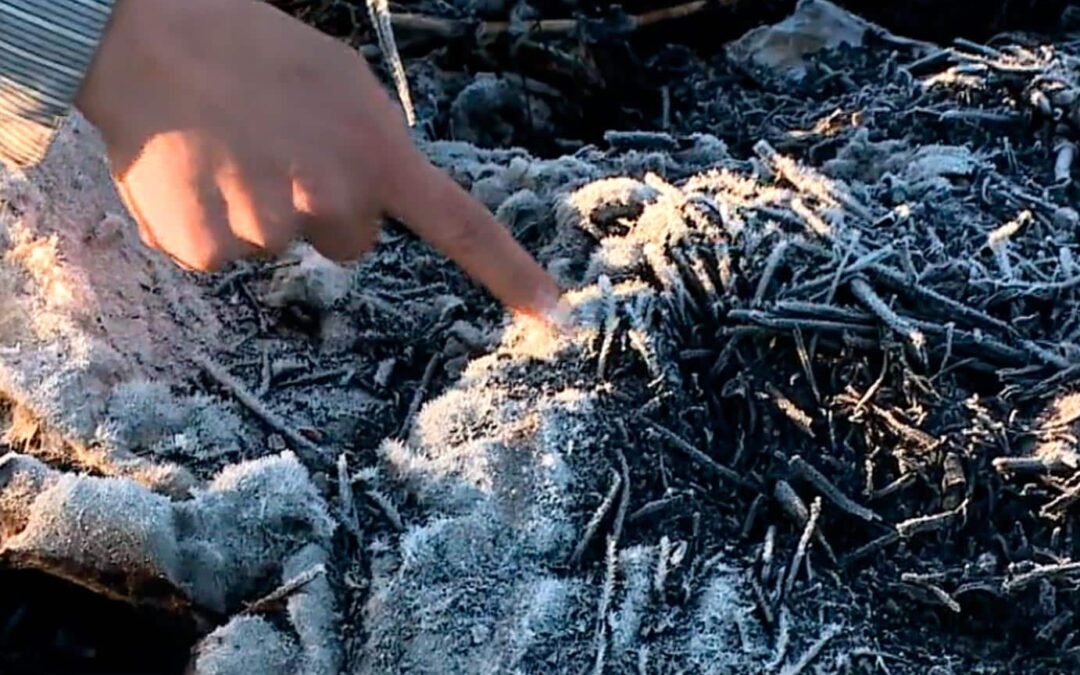 Onda de frio se estende até sexta-feira em nossa região