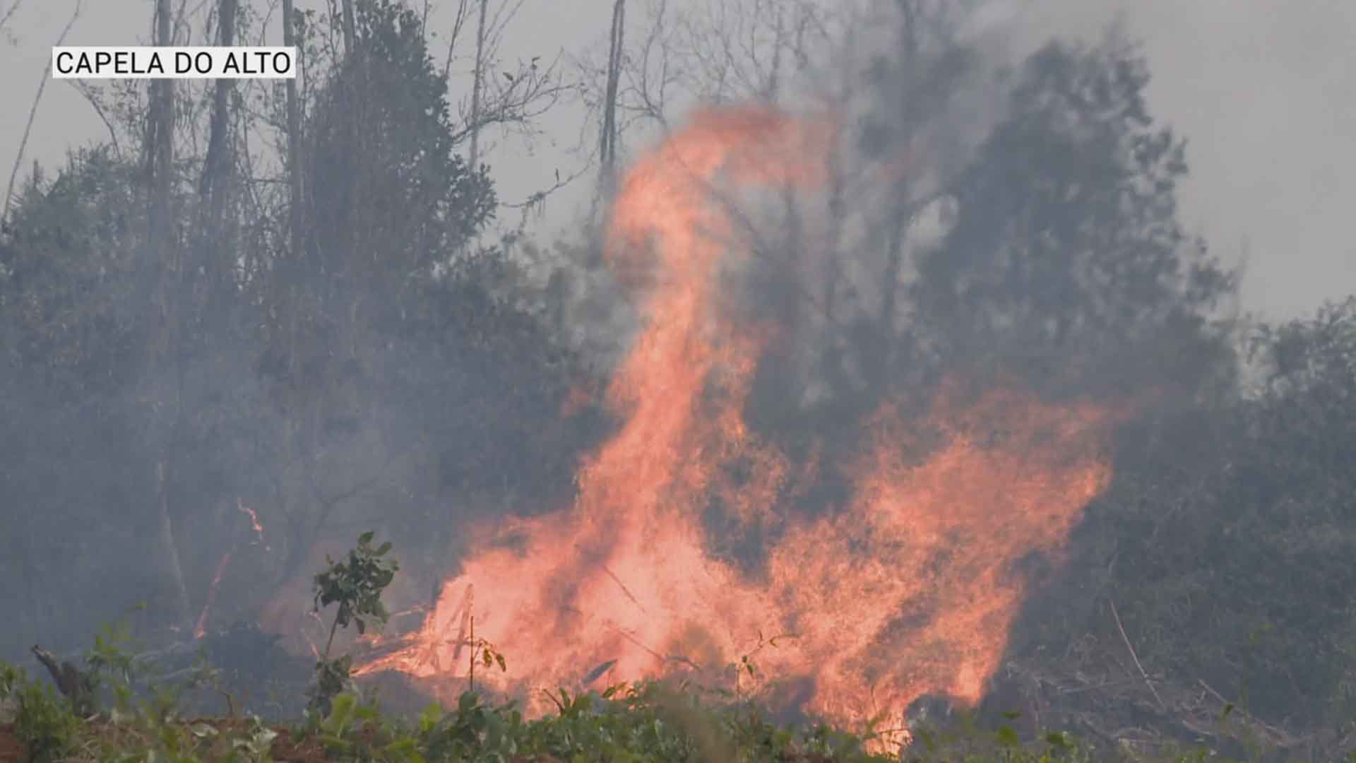 Incêndio destrói mais de 20 mil metros quadrados em Capela do Alto
