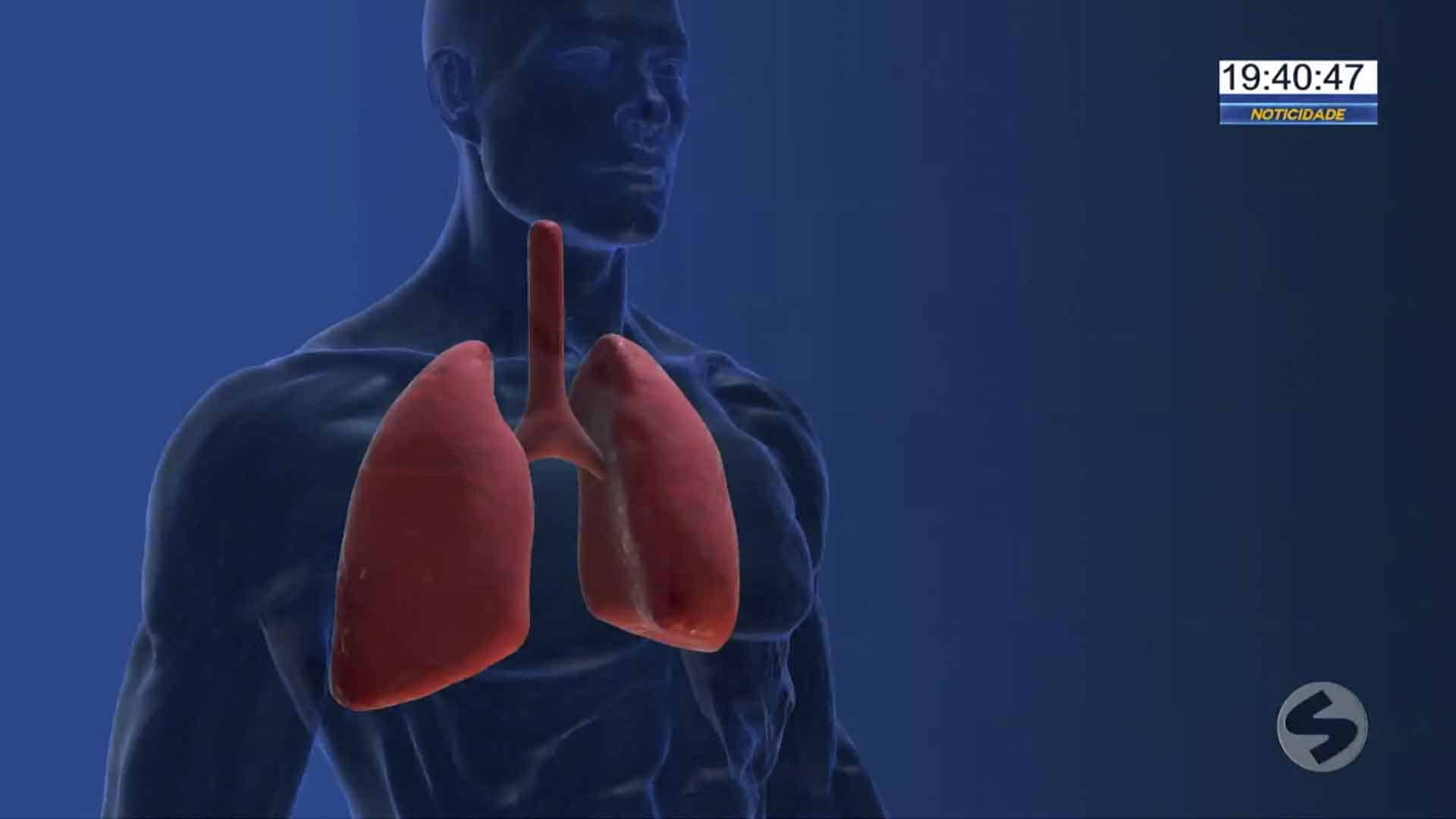 Câncer de pulmão é o quinto mais comum