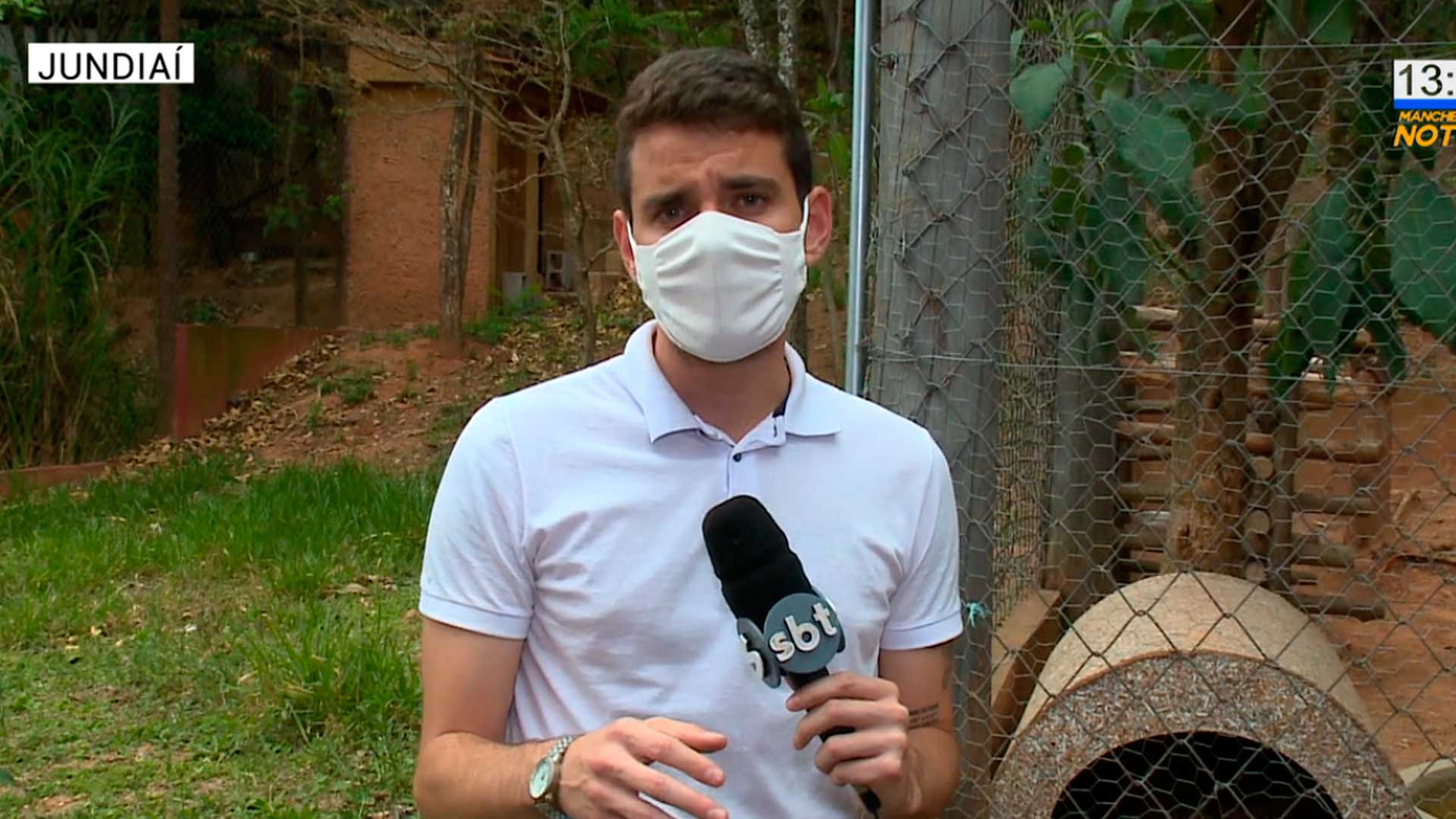 Animais que sobreviveram a incêndios recebem tratamento na Mata Ciliar