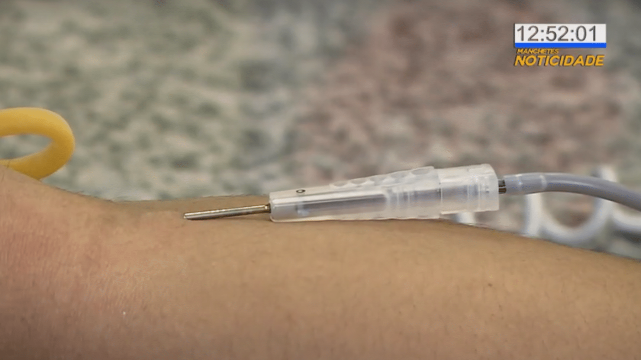 Dia do doador de sangue: gesto que salva vidas