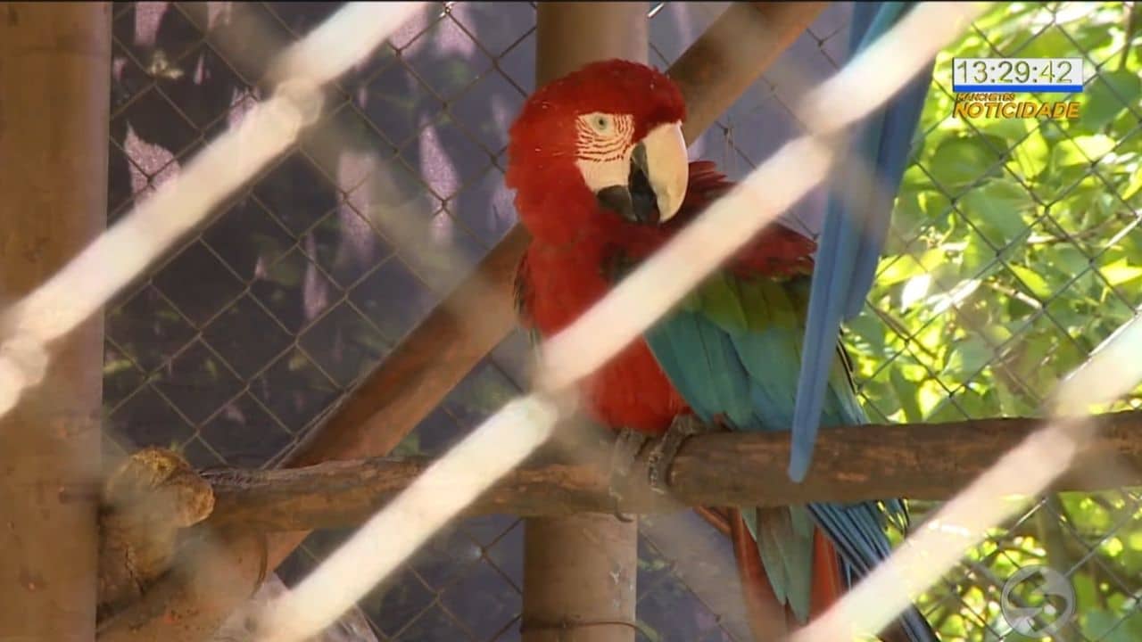 Reabertura do Parque Ecológico de Boituva