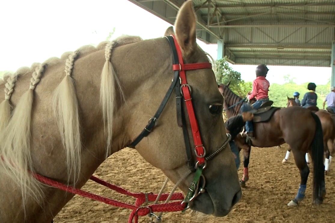 Prova de cavalos modalidade três tambores é realizada em Tietê