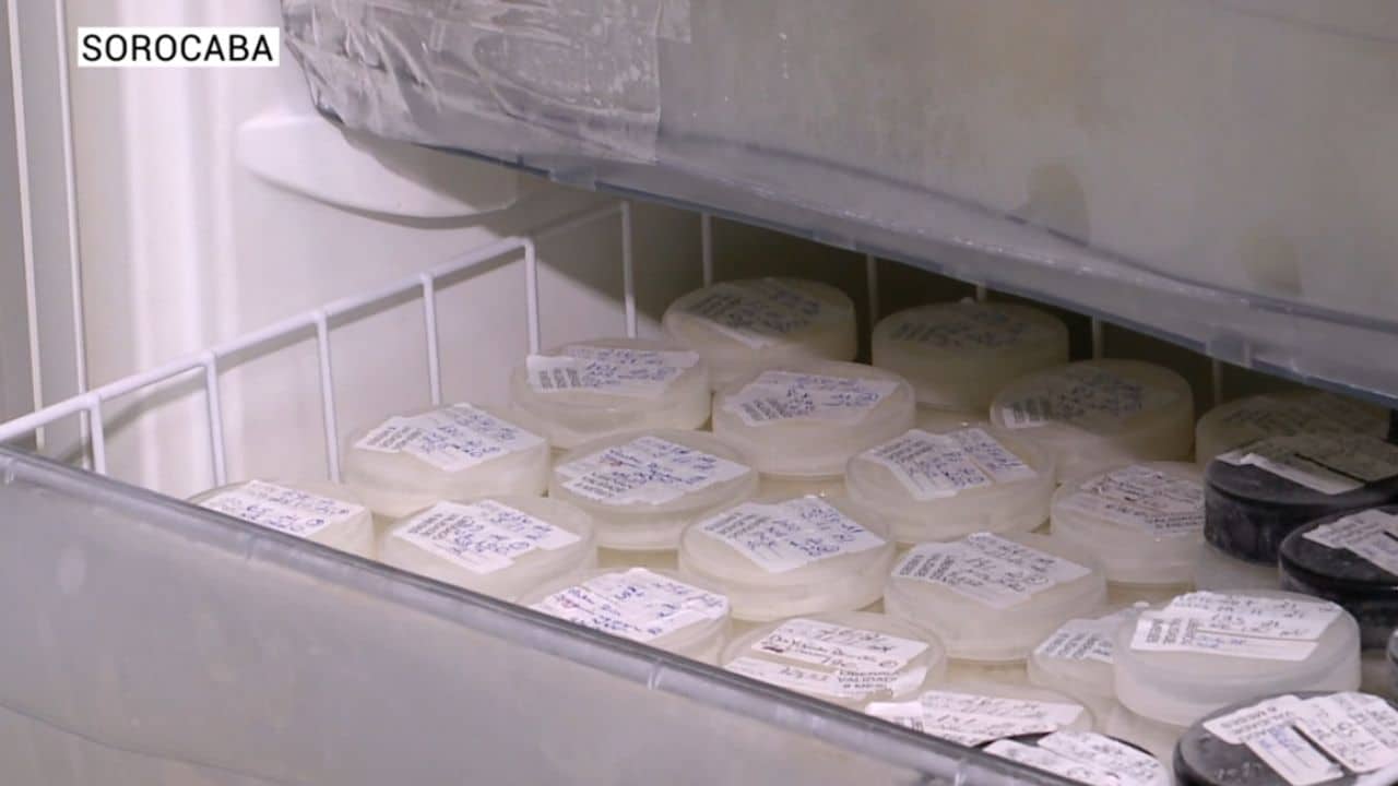 Banco de leite de Sorocaba registra queda de 30% nas doações