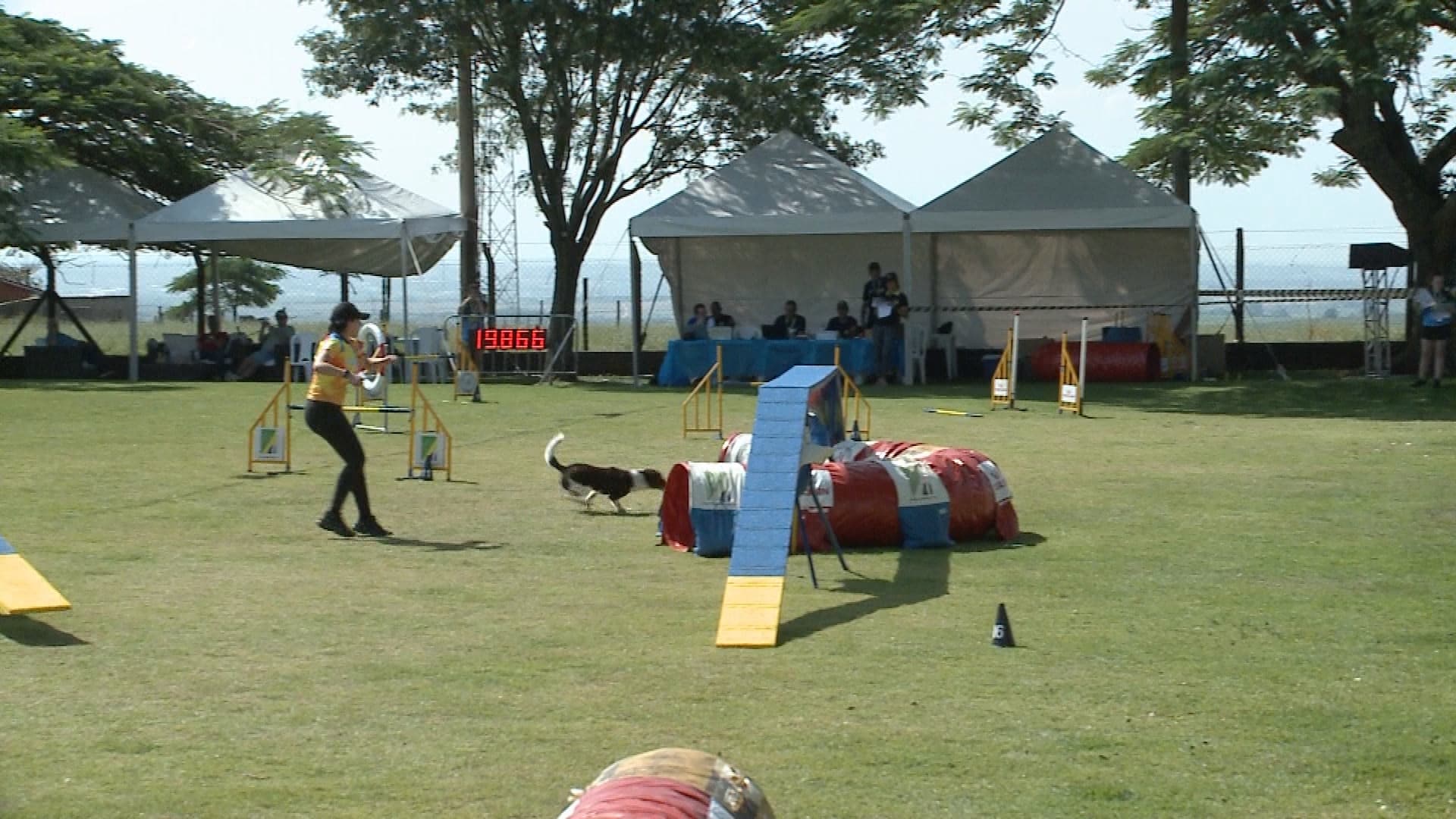 Itu sedia campeonato internacional de agility