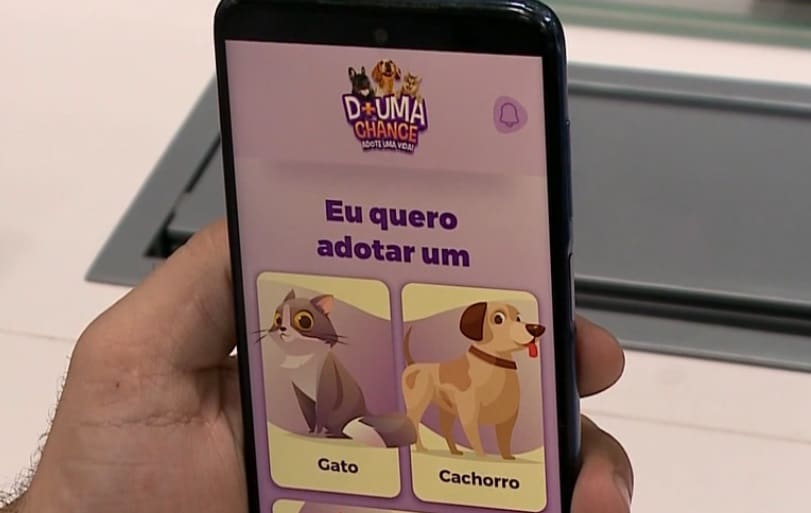 Aplicativo ajuda na adoção de cães e gatos