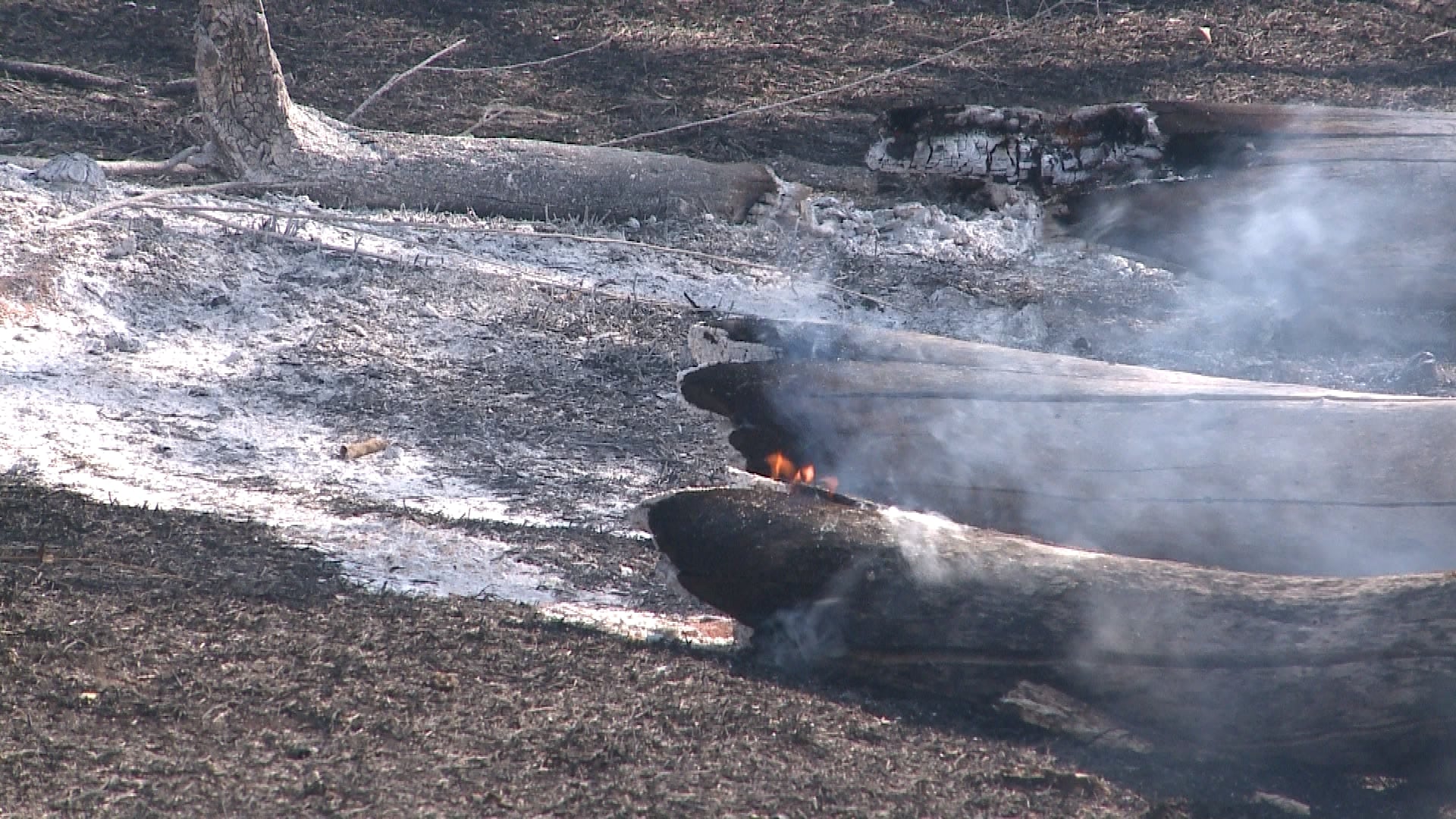 fogo-consome-area-de-300-mil-metros-quadrados-entre-itu-e-salto