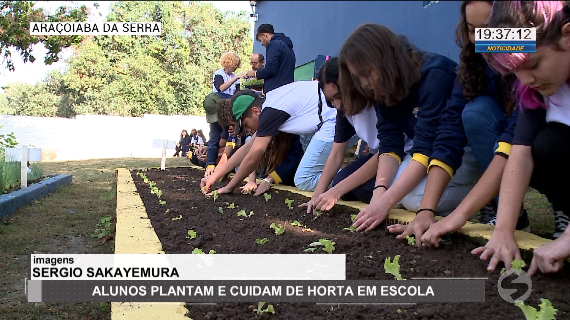 Alunos plantam e cuidam de horta em escola de Araçoiaba da Serra