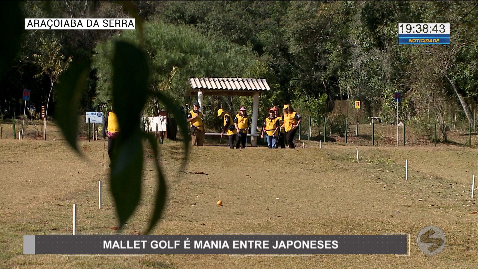 Mallet Golf é mania entre descendentes de japoneses em Araçoiaba da Serra