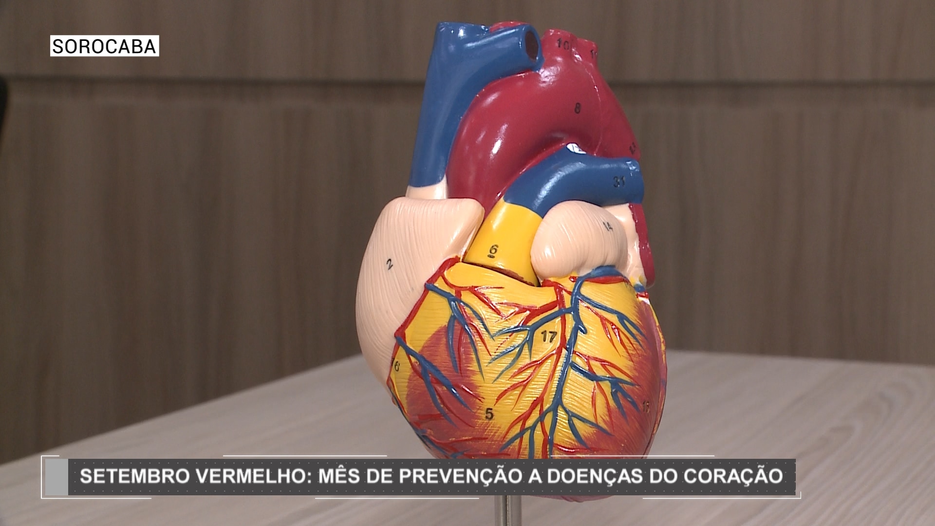 Campanha Setembro Vermelho alerta sobre prevenção às doenças do coração