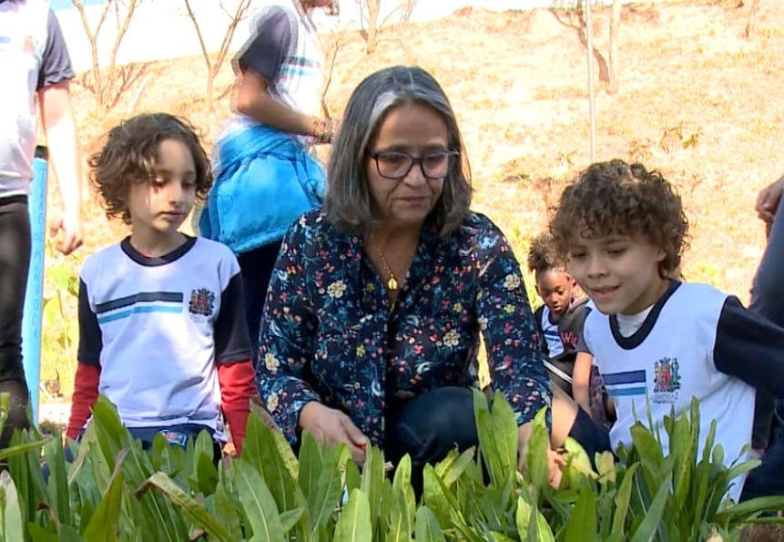 Projeto em Jundiaí leva hortas para escolas municipais