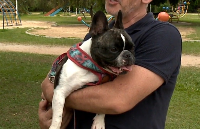 Calor excessivo exige maior cuidado com os pets