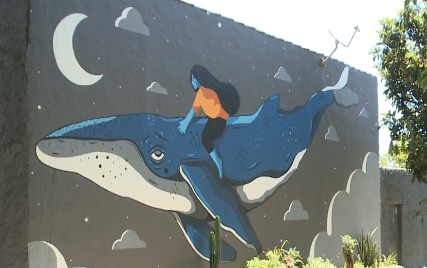 Murais artísticos são inaugurados neste sábado (17) em Sorocaba
