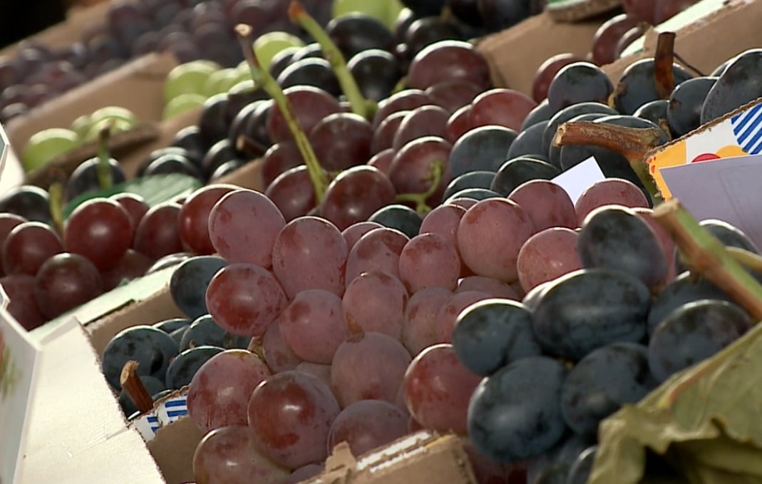 Dois mil produtores participam da Festa da Uva