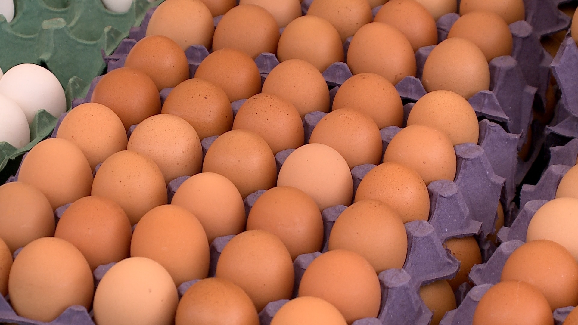 Preço do ovo aumenta 19% no último ano