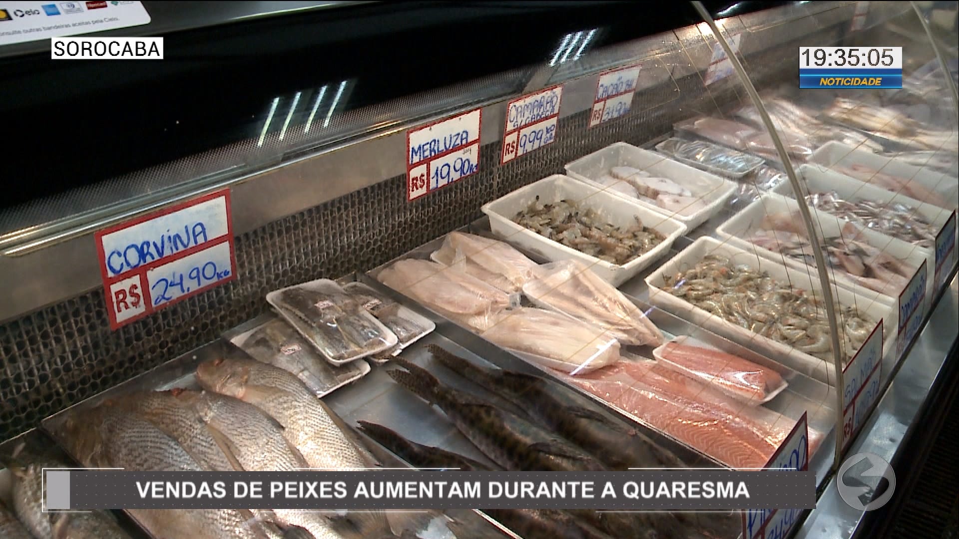 Vendas de peixes aumentam durante a quaresma