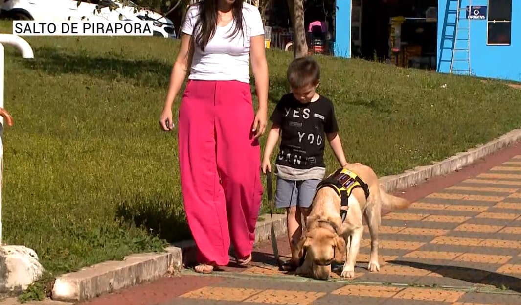 Cães ajudam na socialização de pessoas com autismo
