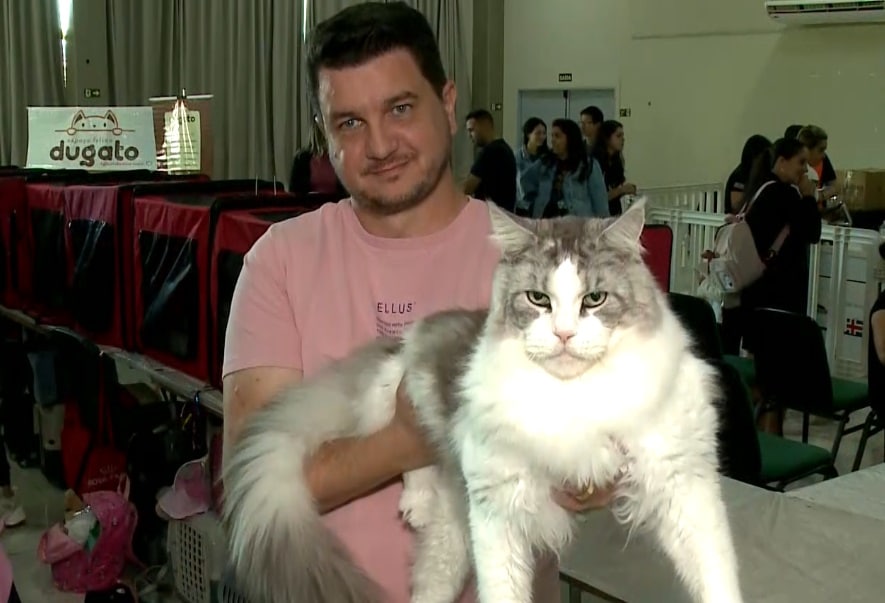 exposição gatos