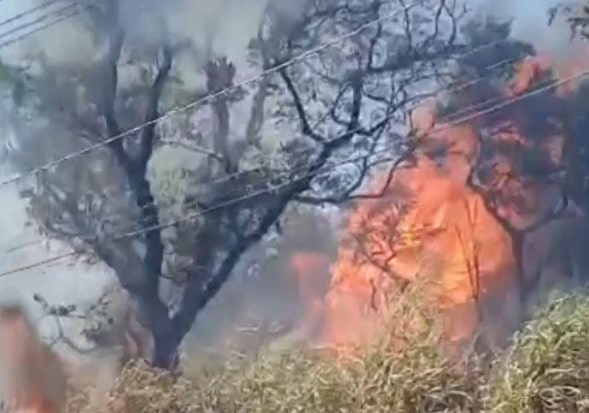 Tempo seco provoca incêndios em cidades da região