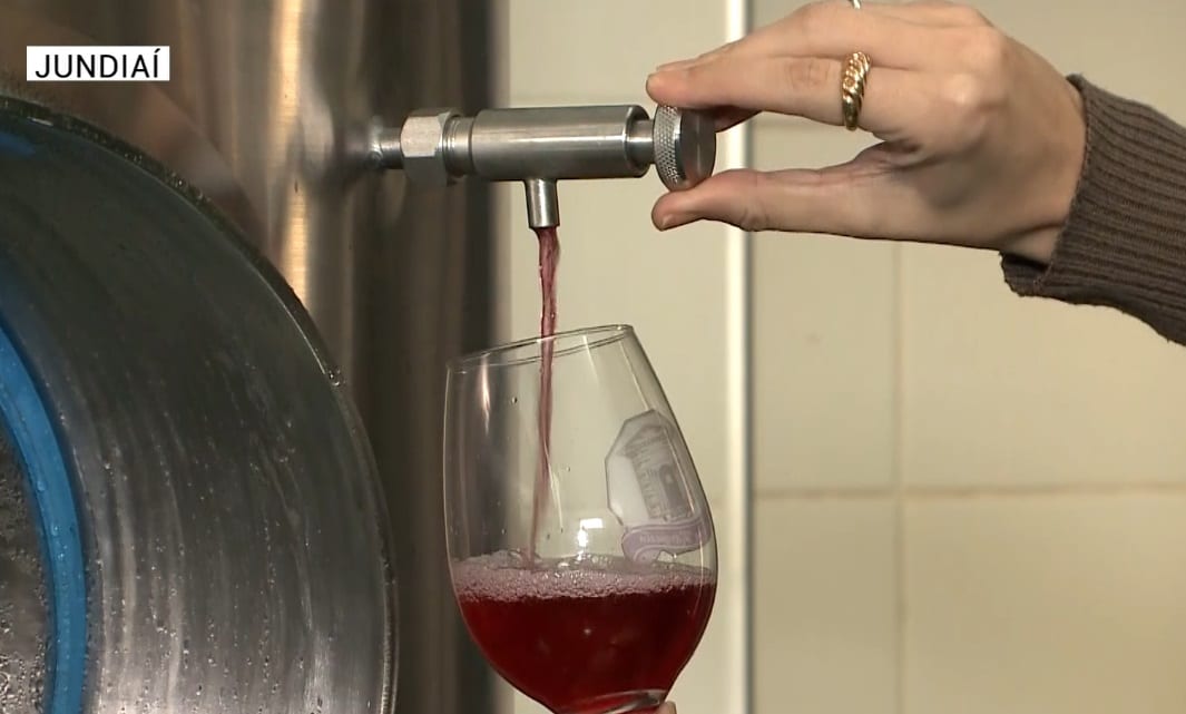 produção vinho