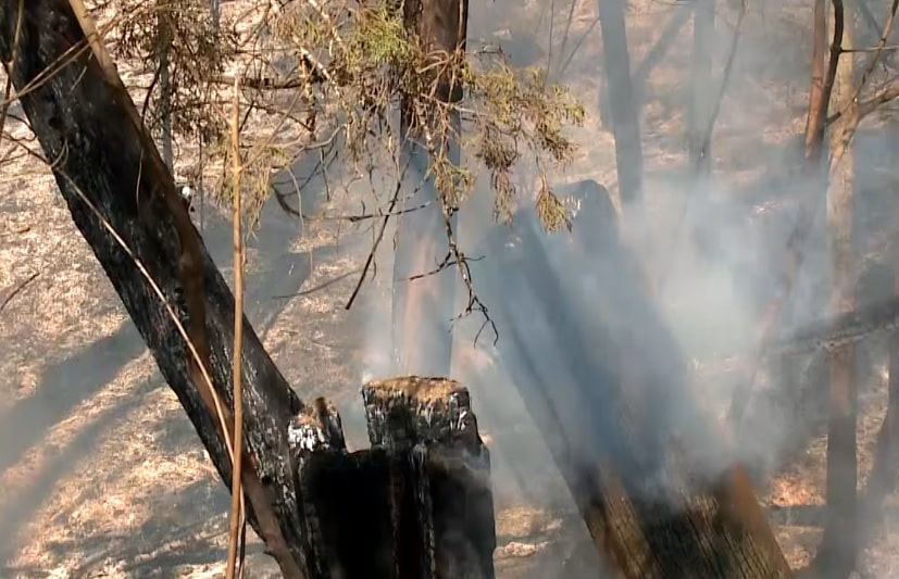 Queimadas destroem áreas de mata de Araçoiaba da Serra