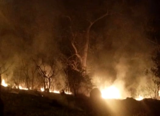 Calor excessivo aumenta riscos de incêndios florestais