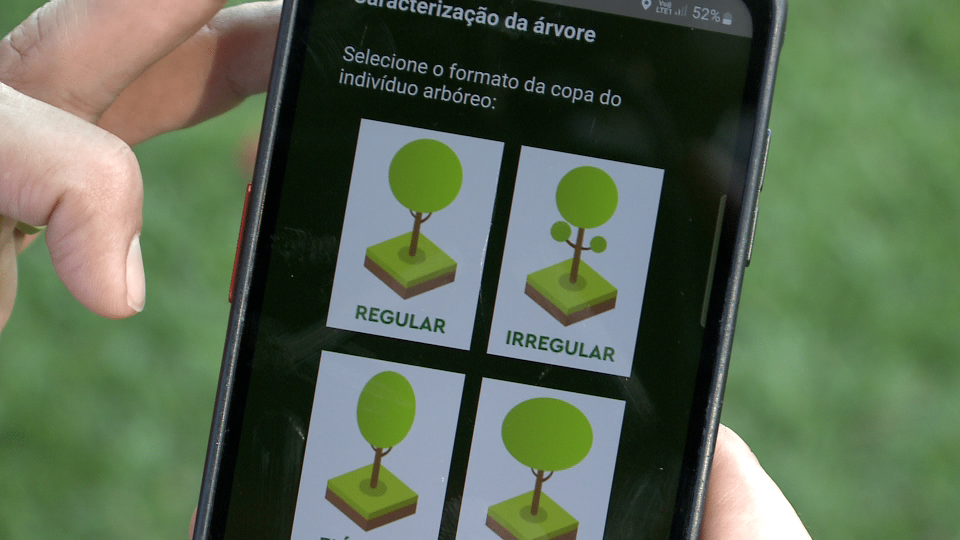 Moradores utilizam plataforma para mapeamento de árvores em condomínio