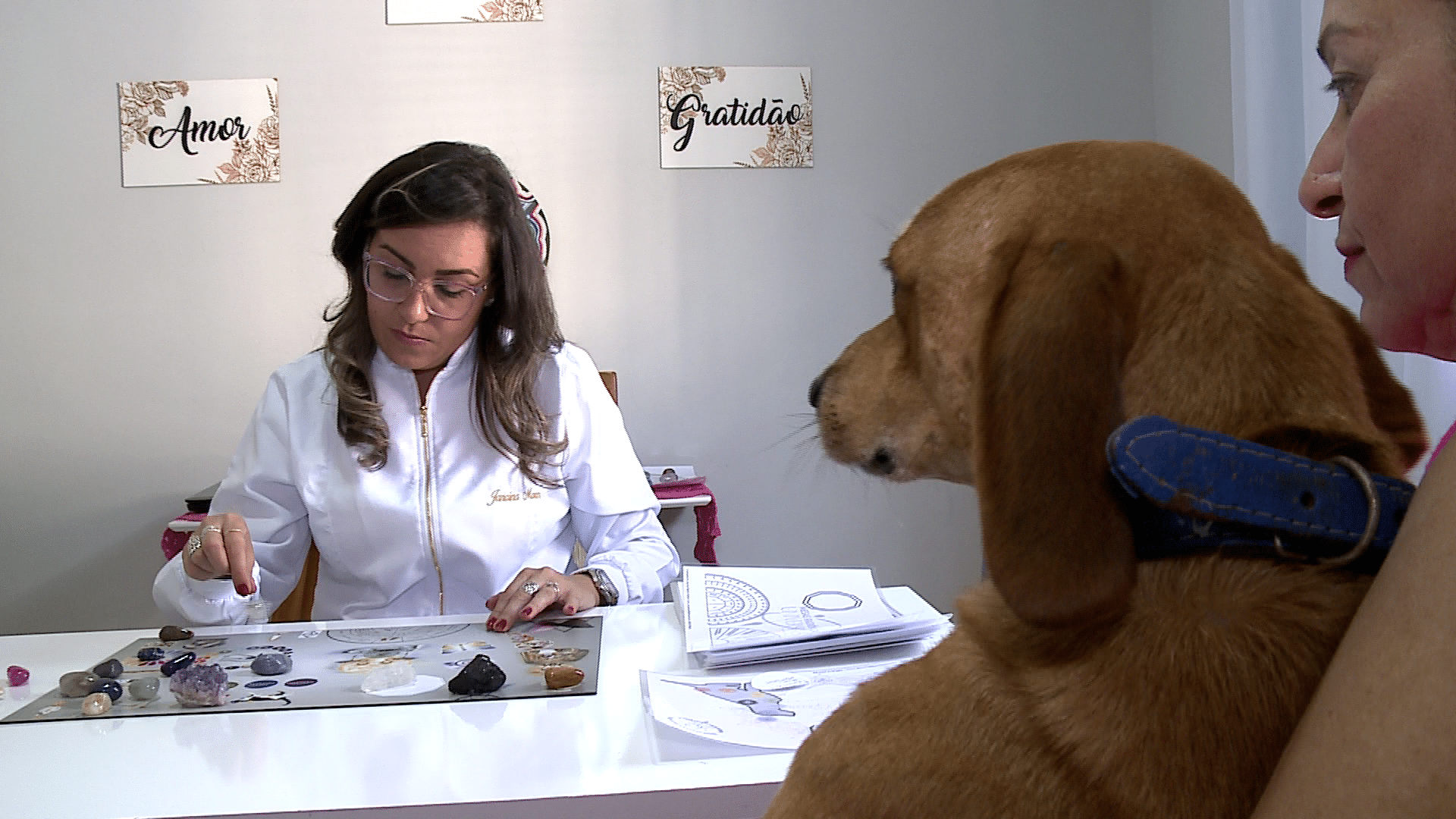 Terapia holística ajuda no bem-estar dos pets