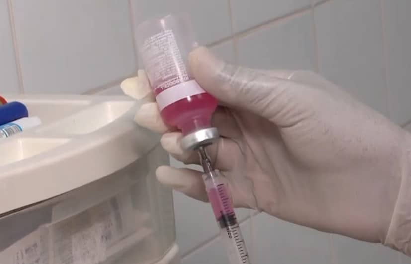 Vacina antirrábica é aplicada de graça em Votorantim