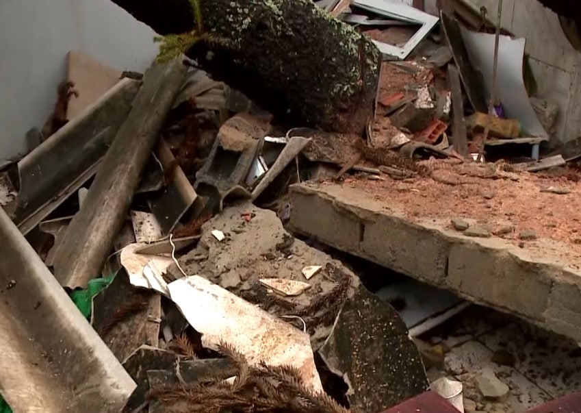 Árvore cai durante chuva e destrói casa em São Roque