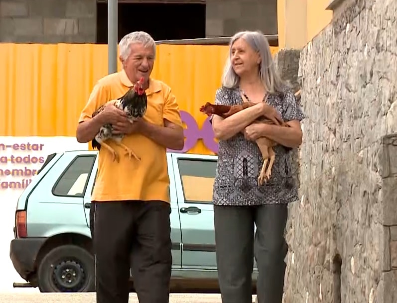 Casal faz sucesso com galo e galinha de estimação