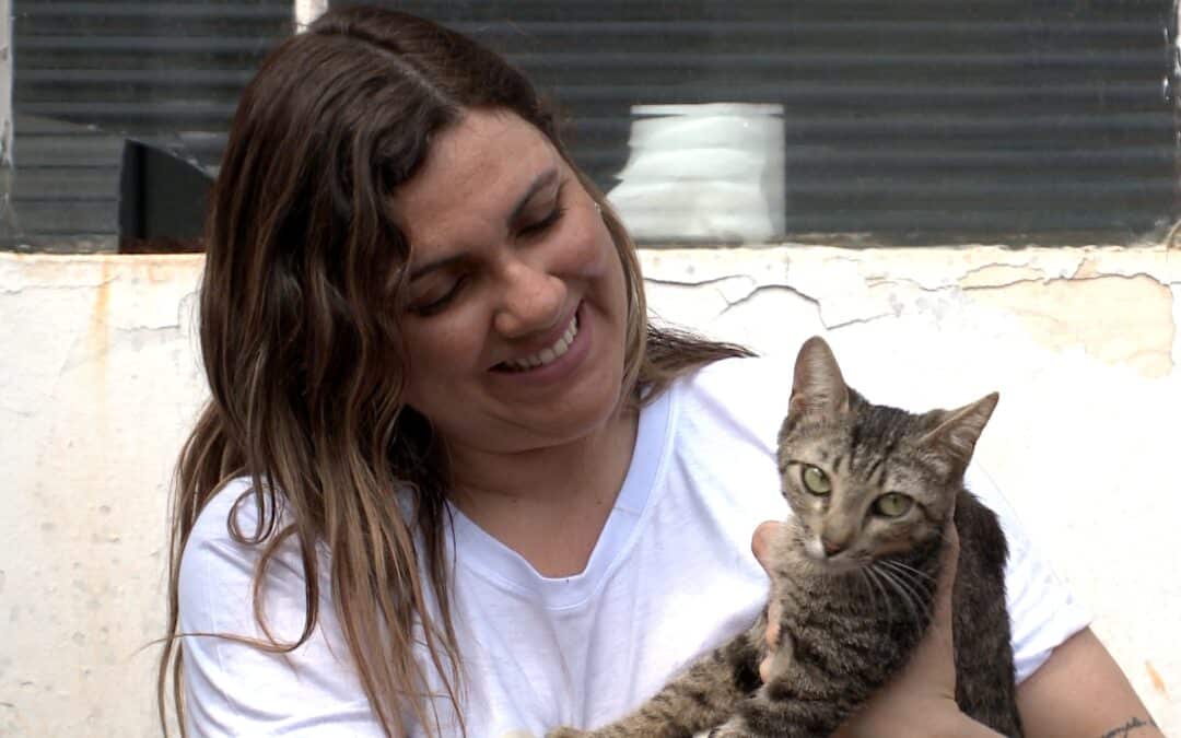 Banco de Ração em Sorocaba recebe alimento para cães e gatos