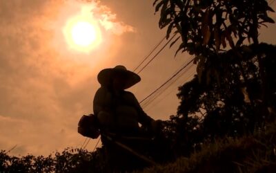 Altas temperaturas requerem cuidados ampliados com a saúde