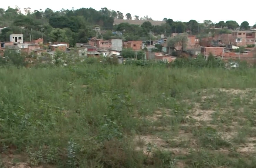 campo abandonado