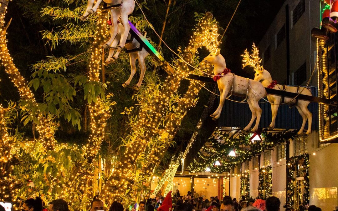 Iluminação natalina em Sorocaba está aberta à visitação