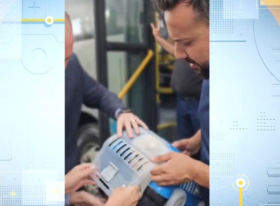 Vereador explica lei que permite embarque com pet em ônibus